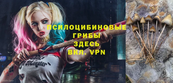 МДПВ Верхний Тагил