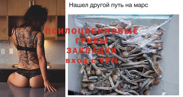 МДПВ Верхний Тагил