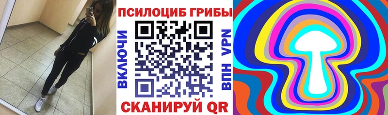 MEGA ТОР  Муравленко  Псилоцибиновые грибы мицелий  где можно купить наркотик 